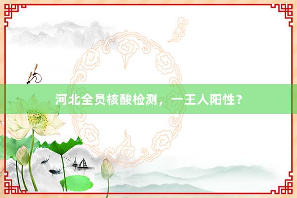 河北全员核酸检测，一王人阳性？