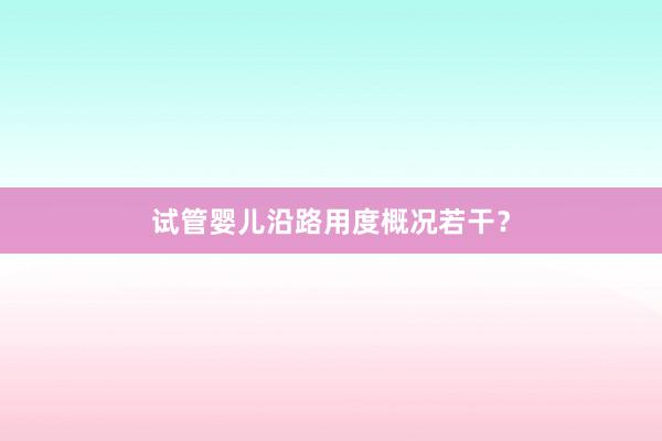 试管婴儿沿路用度概况若干？