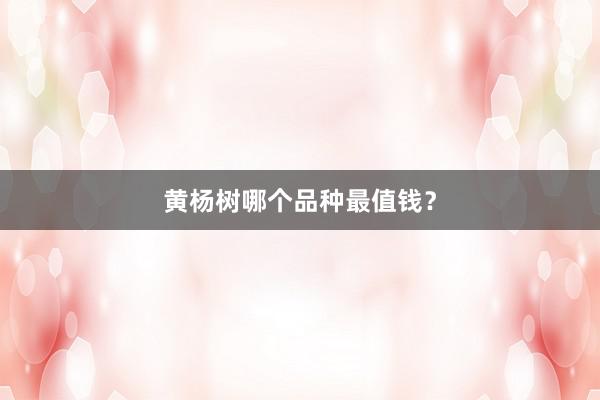 黄杨树哪个品种最值钱?